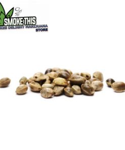 White Widow Marijuana Seeds