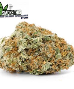 Pink Rockstar (AAA) for sale