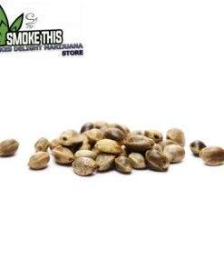seeds
