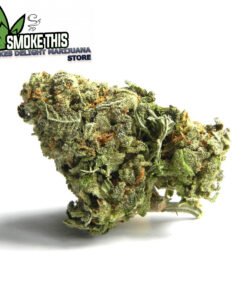 indica