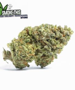 sativa